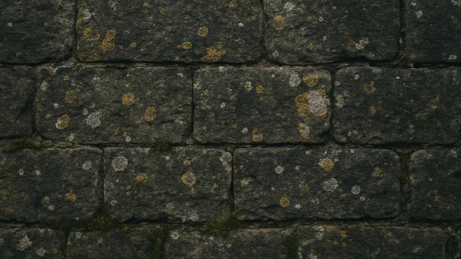 Full close study of weathered Irish masonry, lichen and worn grey stone blocks in soft overcast daylight, deep charcoal
